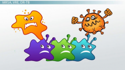 Significant Antibiotic-Resistant Bacteria: Terminology ...
