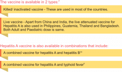 Hepatitis a vaccine