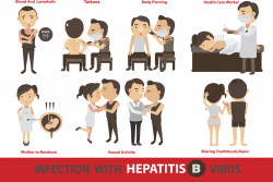 Hepatitis B Vaccine Guide | Immunization Info