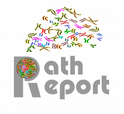 Path Report