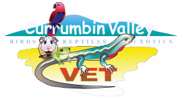 Bird Health Conditions Archives » Currumbin Valley Birds & Exotic ...