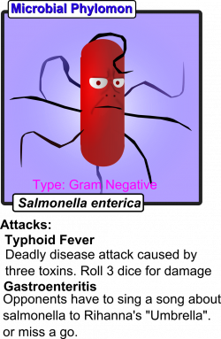 Memoirs of a Defective Brain: Microbial Phylomon- Salmonella enterica