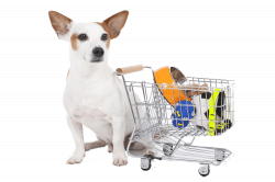 Pawsome Pet Supplies: Food and Accessories for Pets - Online Pet Store