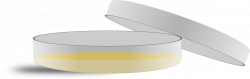 Clipart - Petri dish