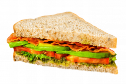 Sandwich World - Cafeteria | Dubai