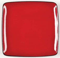 Amazon.com | Home Trends Rave-Red Square Dinner Plate, Fine ...