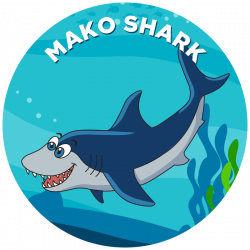 Mako Shark - Propel Swim Academy