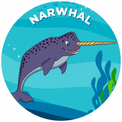 Narwhal - Propel Swim Academy