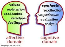 Affective Domain in the Classroom | Into the Dr...