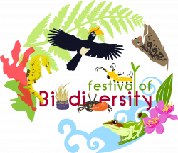 Raffles Museum Toddycats at Festival of Biodiversity (26 & 27 May ...