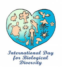 International Day for Biological Diversity - US
