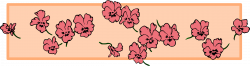 Clipart - Floral divider (colour)