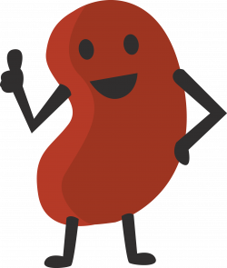 Cute Kidney Clipart - 2018 Clipart Gallery