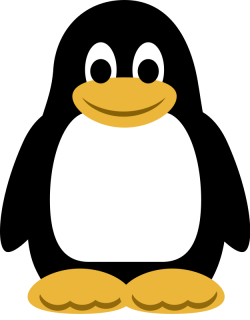 cartoon penguin Penguin pictures cartoon free download clip art png ...
