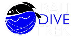 Bali Scuba Diving Course | Bali Dive Trek