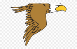 Peregrine Falcon Clipart - Bald Eagle Cartoon Png ...