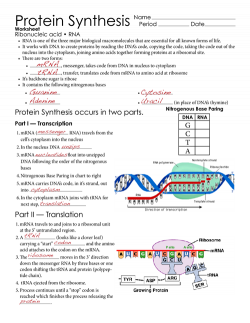 Image result for dna to protein worksheet | Chemistry Worksheets ...