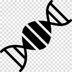 DNA Genetics Nucleic acid double helix Biology, dna ...