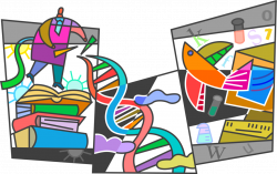 Genetic Engineering or DNA Modification - Vector Image