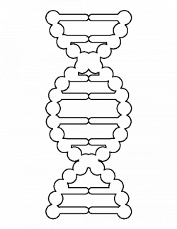 DNA pattern. Use the printable outline for crafts, creating stencils ...