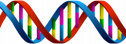 AUG TELLEZ – 1-18-18 – Transdimensional DNA – Higher Density Blog