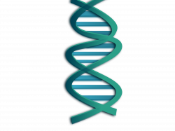 Clipart - DNA