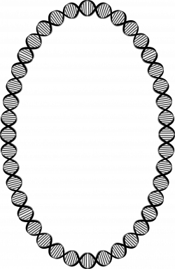 Clipart - DNA Ellipse