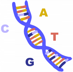 DNA - Innovative Genomics Institute (IGI)