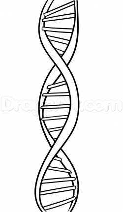 Collection of Dna clipart | Free download best Dna clipart ...