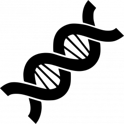 Dna Biology Structure Chain Helix Genetic Genetics Genome Svg Png ...