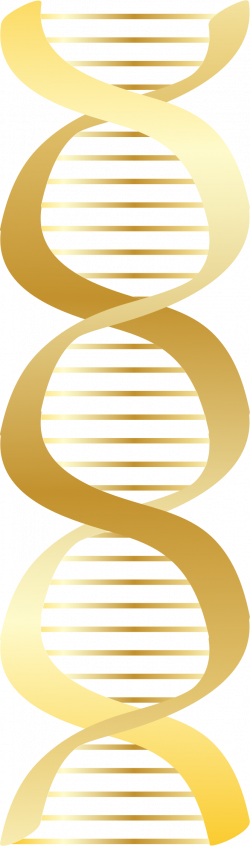 Clipart - Gold DNA icon