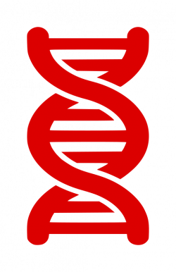 Clipart - DNA Strand Icon