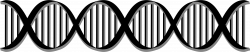 DNA PNG images free download