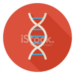 Flat Science and Medicine Dna Circle Icon With Long Shadow ...