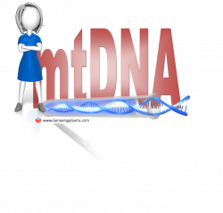 When to Do an mtDNA Test for Genealogy | Genealogy Gems