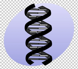 DNA Sequencing Genetics Mutation PNG, Clipart, Discover ...