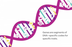 Genetics 101 - MiraKind | Genetic Research with Immediate Impact