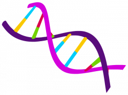 Science | Cellular Life and Genetics | DNA | Worksheet ...