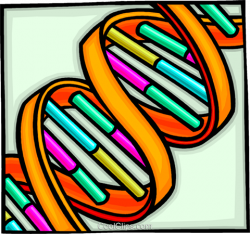 DNA strand Royalty Free Vector Clip Art illustration ...