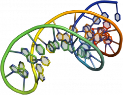 Notes on Nucleic Acid Bioconjugation | LoganThrasherCollins.com