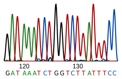 File:DNA sequence.svg - Wikimedia Commons