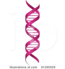 Dna Clipart #1295029 - Illustration by Vector Tradition SM