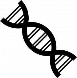 DNA Strand Svg Png Icon Free Download (#42628) - OnlineWebFonts.COM