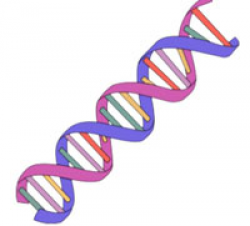 Free DNA Cliparts, Download Free Clip Art, Free Clip Art on ...
