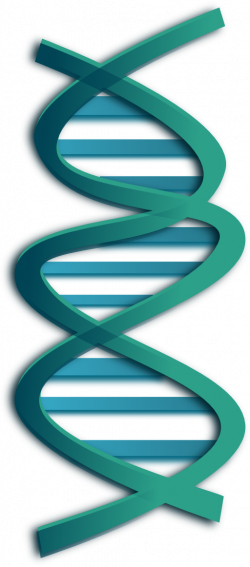 Dna Clipart | i2Clipart - Royalty Free Public Domain Clipart
