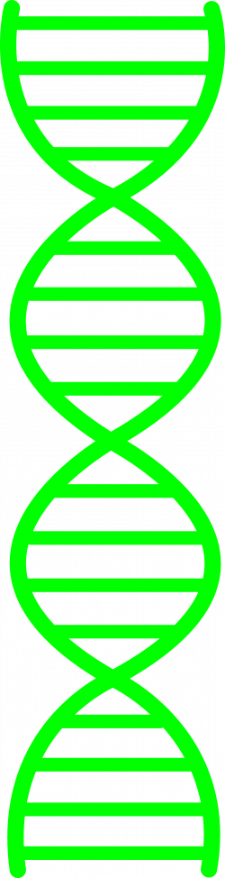 Dna Clipart - Cliparts.co
