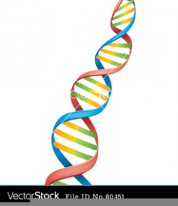 Free Dna Strand Clipart | Free Images at Clker.com - vector ...