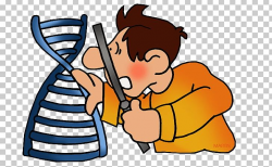 DNA Nucleic Acid Double Helix Gene PNG, Clipart, Arm ...
