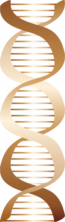 Clipart - Bronze DNA icon