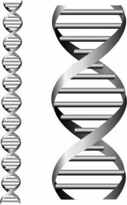 Dna vector free vector download (59 Free vector) for ...